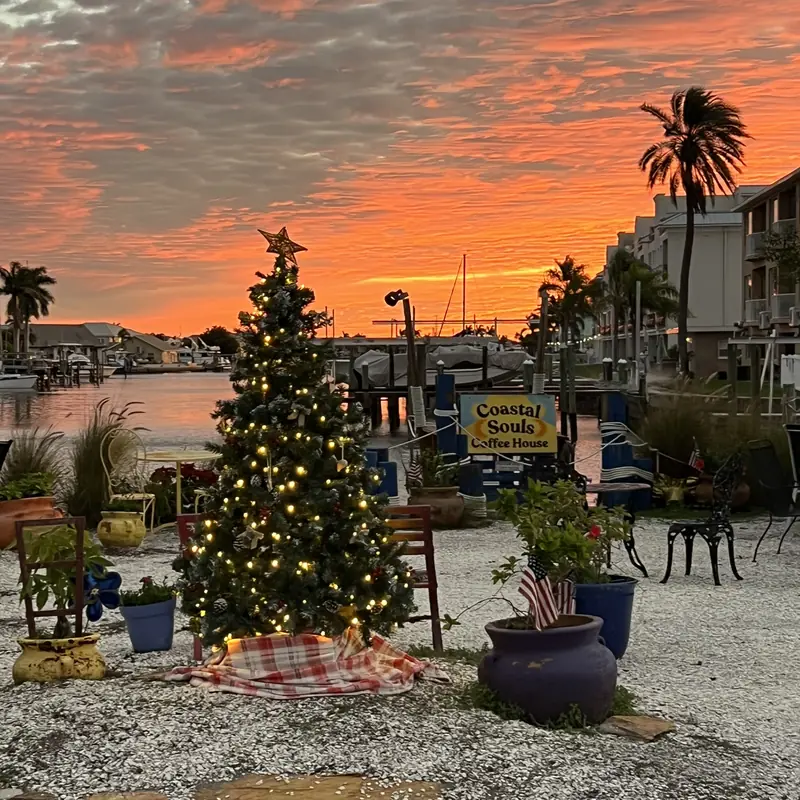 A decorated Christmas tree on the patio, morning sky behind it