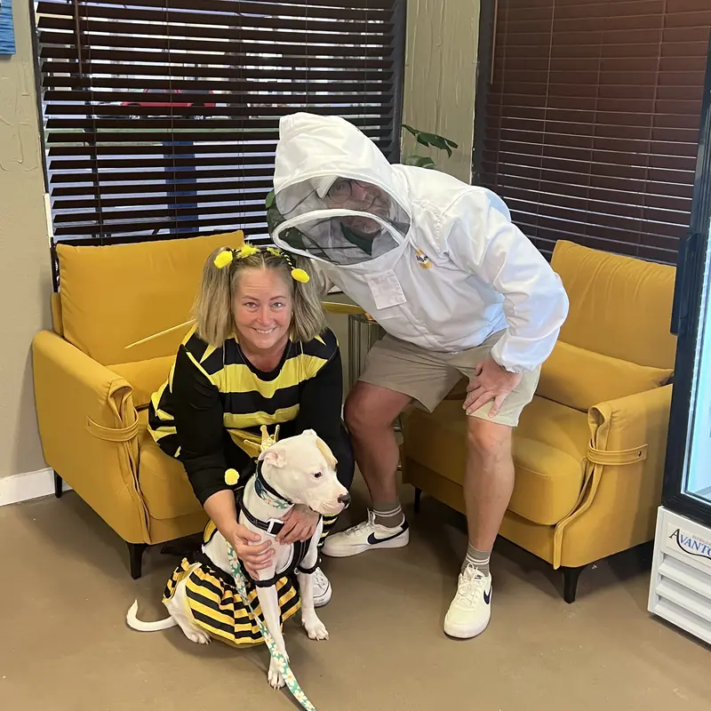 Guests in bee and beekeeper costumes with a dog dressed as a bee