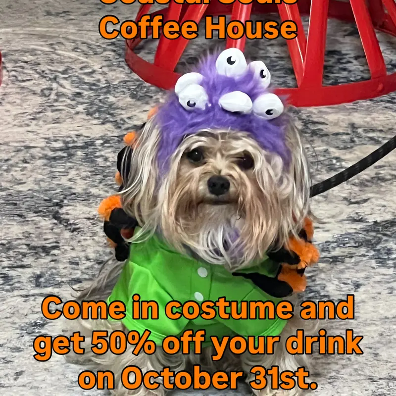 Halloween flyer: a small dog in costume, with the text “Come in costume and get 50% off your drink on October 31st”